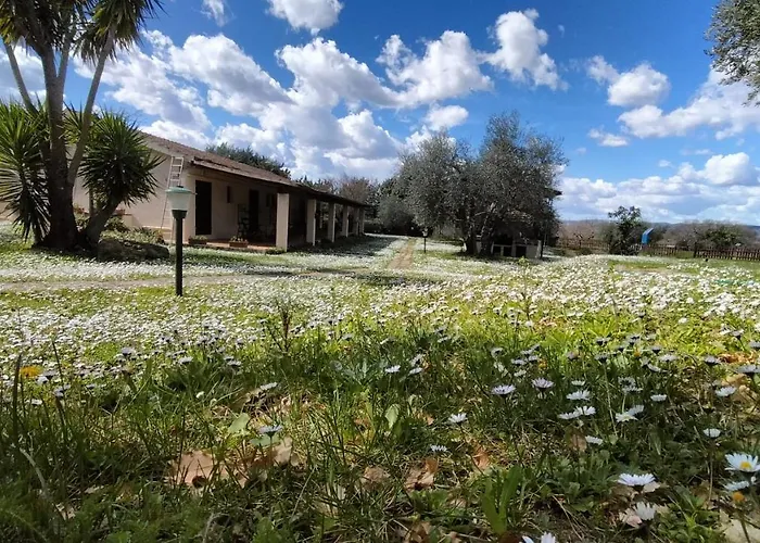Agriturismo Bio Pian Dei Casali
