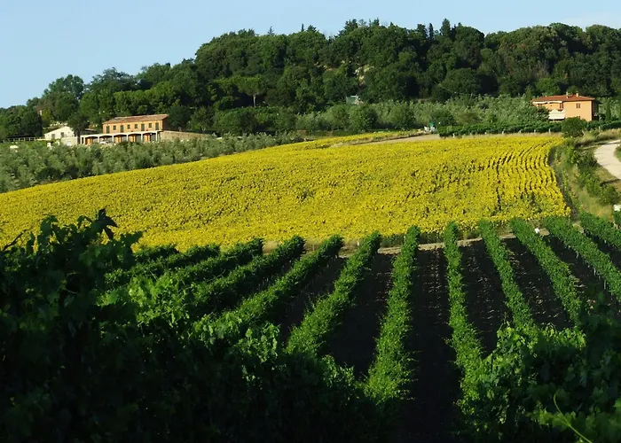 Bio Il Torrione